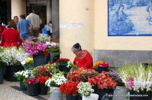 madeira (2)