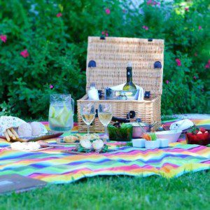 Pic Nic