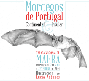 morcegos_mafra